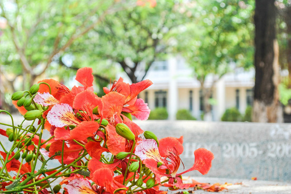 Bài văn mẫu lớp 9 số 2 đề 1: Tưởng tưởng 20 năm sau về thăm trường vào một ngày hè Văn mẫu lớp 9 số 2 đề 1: về thăm trường sau 20 năm