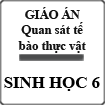 Giáo án Sinh học 6 bài Quan sát tế bào thực vật