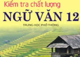 Đề kiểm tra 1 tiết môn Ngữ văn lớp 12 - Các văn bản nghị luận và nhật dụng