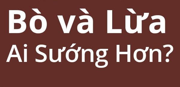 The Bull and the Donkey