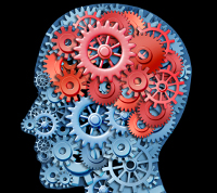 "Cân đo" khả năng phản ứng nhanh của não bộ với những câu đố vui