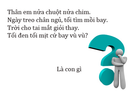 Đố vui dân gian