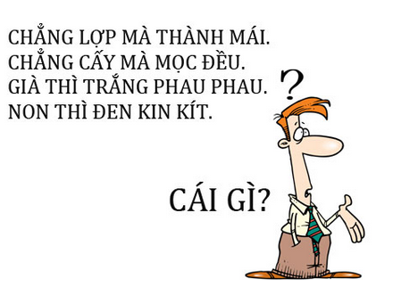 Đố vui dân gian