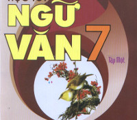 Đề kiểm tra giữa học kì 1 môn Ngữ văn lớp 7 Trường THCS Thụy An năm 2010 - 2011
