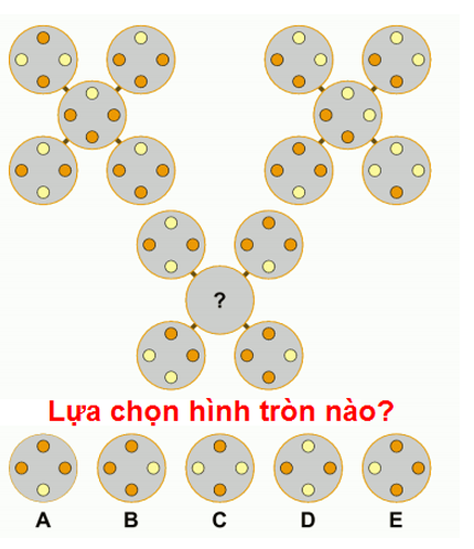 Câu hỏi IQ
