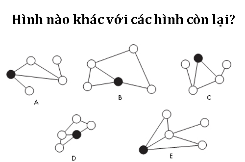 Câu hỏi IQ