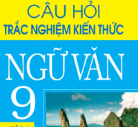 Đề kiểm tra 1 tiết giữa kì 1 môn Ngữ văn lớp 9 Trường THCS Thống Nhất, Biên Hòa năm 2009 - 2010