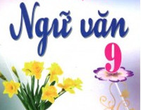 Đề kiểm tra chất lượng giữa học kì 1 môn Ngữ văn lớp 9 Trường THCS Thụy An năm 2010 - 2011