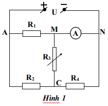 Đề thi học sinh giỏi lớp 9 môn Lý có đáp án 