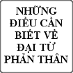 Những điều cần biết về đại từ phản thân