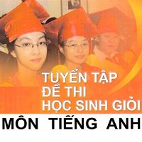 Đề thi HSG môn tiếng Anh lớp 9 cấp huyện phòng GD-ĐT Quỳnh Lưu năm học 2010-2011