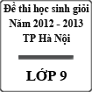 Đề thi học sinh giỏi lớp 9 cấp Thành phố Hà Nội năm học 2012 - 2013