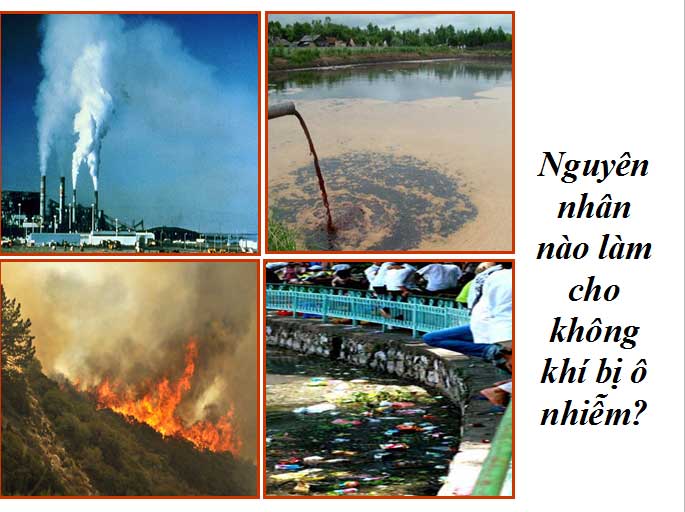 Ví dụ minh họa sự ô nhiễm môi trường