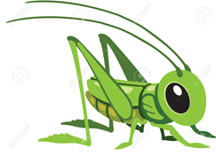 Đề thi học sinh giỏi lớp 2 vòng trường năm học 2012-2013