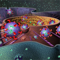 Giáo án Sinh học 8 bài Tế bào