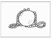 Bài luyện nghe tiếng Anh trình độ B1 - Đề số 1