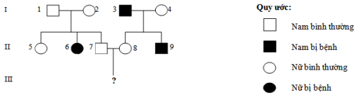 Đáp án đề thi chọn học sinh giỏi môn Sinh học lớp 9