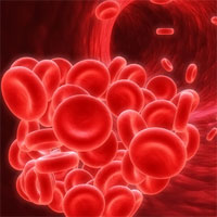 Giáo án Sinh học 8 bài Máu và môi trường trong cơ thể