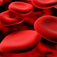 Giáo án Sinh học 8 bài Đông máu và nguyên tắc truyền máu