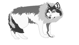 Đề thi Violympic tiếng Anh lớp 1 vòng 1