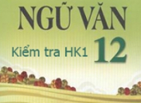 Đề kiểm tra 1 tiết môn Ngữ Văn lớp 12 - Các văn bản nghị luận