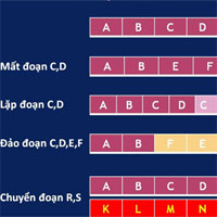 Giáo án Sinh học 9 bài Đột biến cấu trúc nhiễm sắc thể