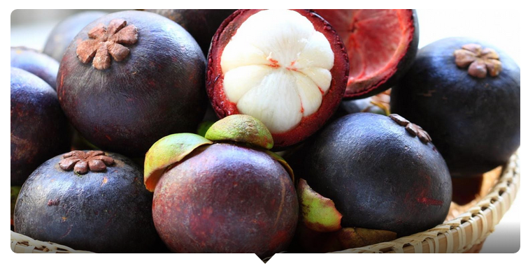 Trắc nghiệm khả năng ghi nhớ từ vựng tiếng Anh của bạn