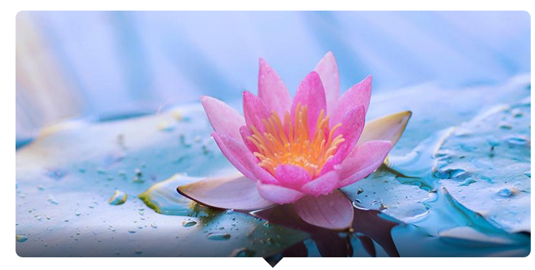 Trắc nghiệm khả năng ghi nhớ từ vựng tiếng Anh của bạn