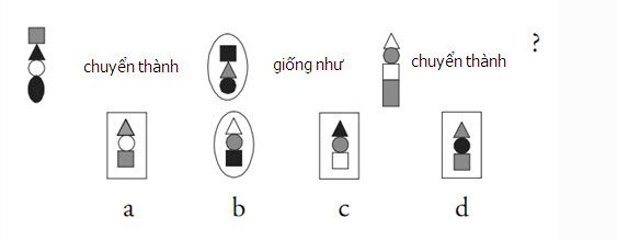 Chỉ số thông minh của bạn đạt ngưỡng nào?