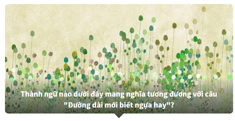 Thành ngữ tiếng Việt được dịch ra tiếng Anh - Bạn biết nhiều hay ít?