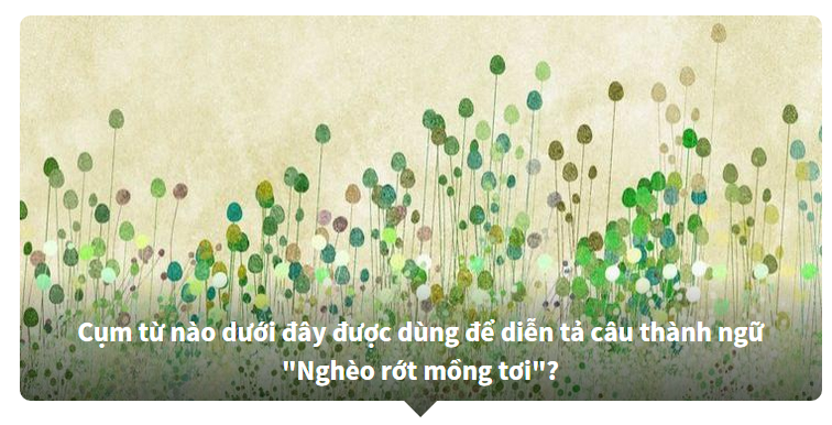 Thành ngữ tiếng Việt được dịch ra tiếng Anh - Bạn biết nhiều hay ít?