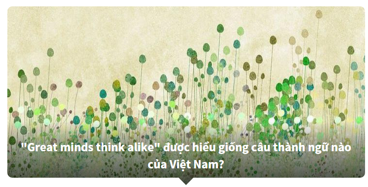 Thành ngữ tiếng Việt được dịch ra tiếng Anh - Bạn biết nhiều hay ít?