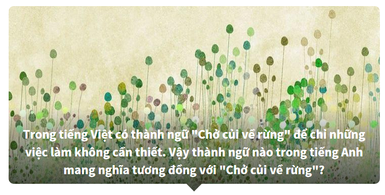 Thành ngữ tiếng Việt được dịch ra tiếng Anh - Bạn biết nhiều hay ít?