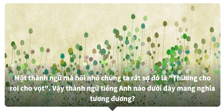 Thành ngữ tiếng Việt được dịch ra tiếng Anh - Bạn biết nhiều hay ít?
