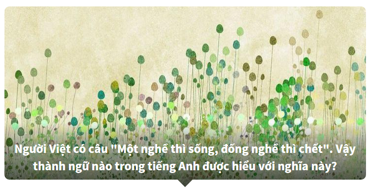 Thành ngữ tiếng Việt được dịch ra tiếng Anh - Bạn biết nhiều hay ít?