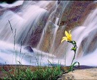 Đề kiểm tra học kì 1 môn Ngữ Văn lớp 6 năm 2013 - 2014 Phòng GD và ĐT Kế Sách