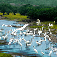 Đề kiểm tra học kì 1 môn Sinh học lớp 6 năm học 2013 - 2014 huyện Vĩnh Linh, Quảng Trị