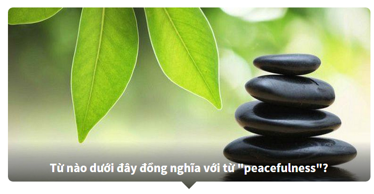 Thánh từ vựng tiếng Anh có phải là bạn?