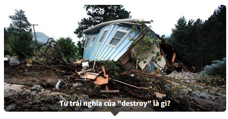 Thánh từ vựng tiếng Anh có phải là bạn?