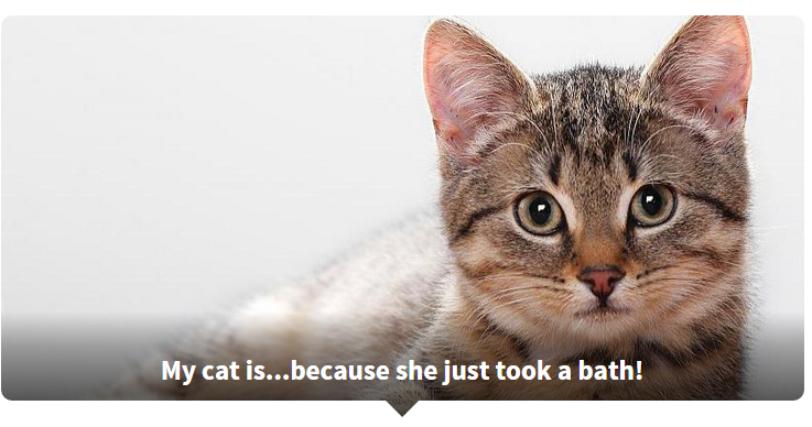 Thánh từ vựng tiếng Anh có phải là bạn?