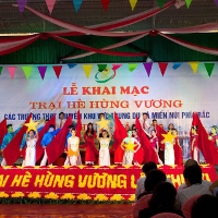 Đề thi học sinh giỏi trại hè Hùng Vương lần thứ XI năm 2015 môn Tiếng Anh lớp 10