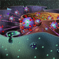 Giáo án Sinh học 9 bài Công nghệ tế bào