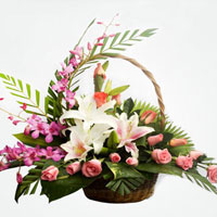 Đề kiểm tra học kì 1 môn Công nghệ lớp 6 năm 2014 - 2015 trường THCS Thị Trấn Trảng Bàng, Tây Ninh