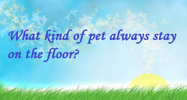 Những câu đố vui Tiếng Anh độc đáo