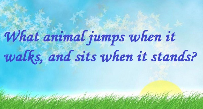 Những câu đố vui Tiếng Anh độc đáo