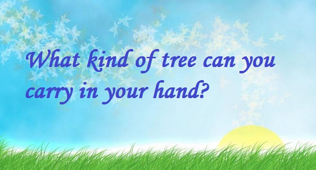 Những câu đố vui Tiếng Anh độc đáo