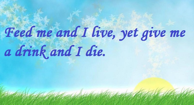 Những câu đố vui Tiếng Anh độc đáo