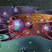 Giáo án Sinh học 10 bài 8: Tế bào nhân thực