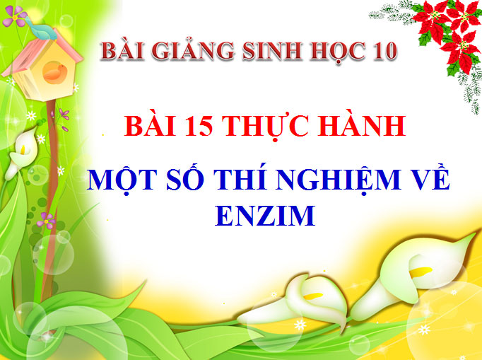 Bài giảng thực hành một số thí nghiệm về enzim