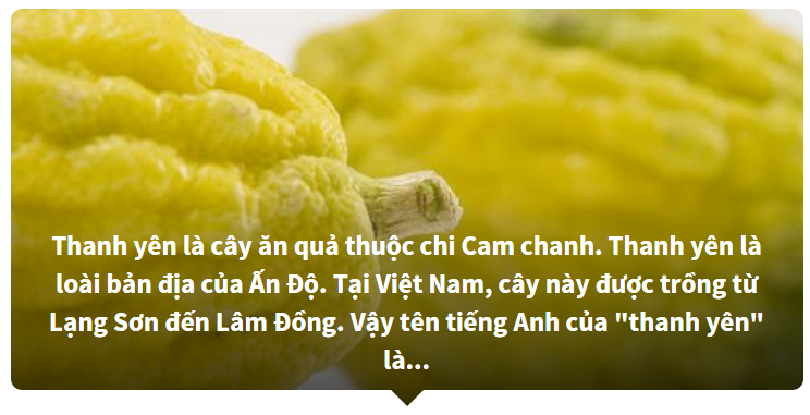 Nhìn hình đoán tên trái cây - Học từ vựng Tiếng Anh chủ đề trái cây